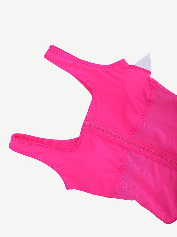 Shaping Tummy control One Piece Swimsuit